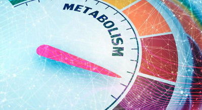Metabolismo lento